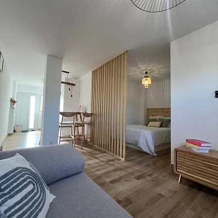 El Hogar Del Calamar 32600 Apartment