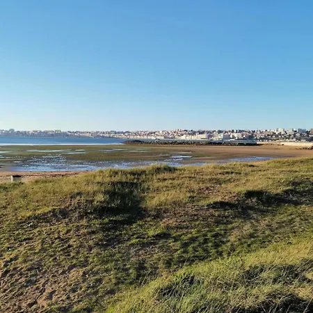 El Hogar Del Calamar 32600 *